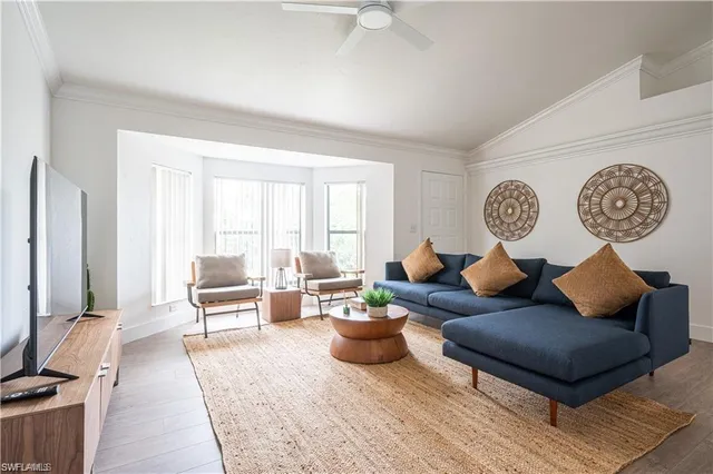 a living room with furniture a rug and a potted plant
