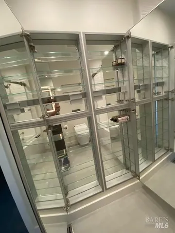 a view of hallway with walk in closet and wooden floor