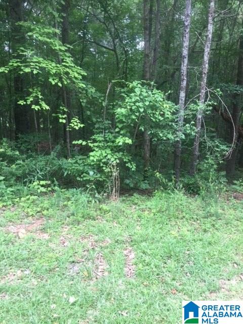 0 Mays Bend Road, Unit 26 Pell City, AL 35128 - Photo 11 of 16