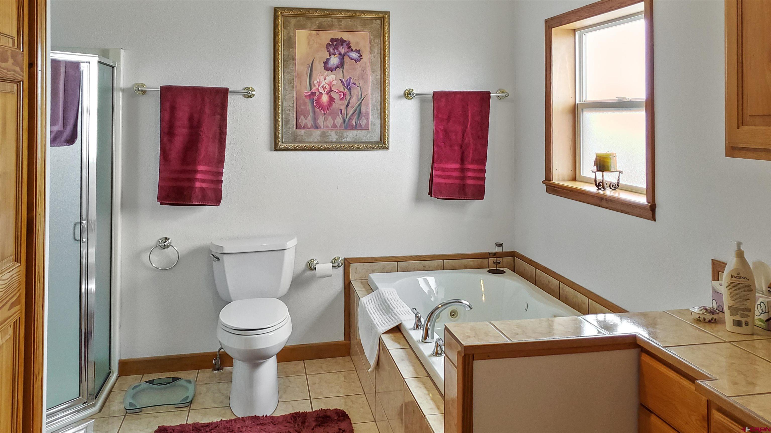 34354 3575th Road Redvale, CO 81431 - Photo 11 of 30 a bathroom with a toilet and a sink