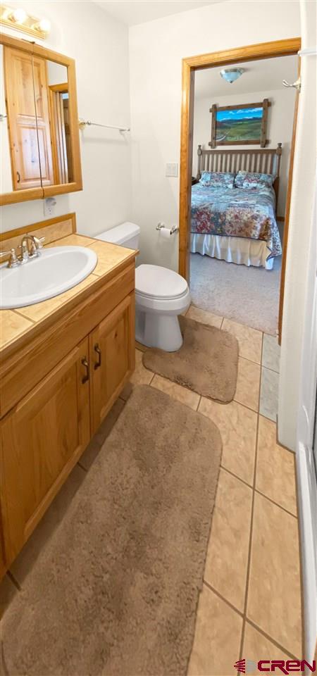 34354 3575th Road Redvale, CO 81431 - Photo 14 of 30 a bathroom with a sink a toilet and a mirror
