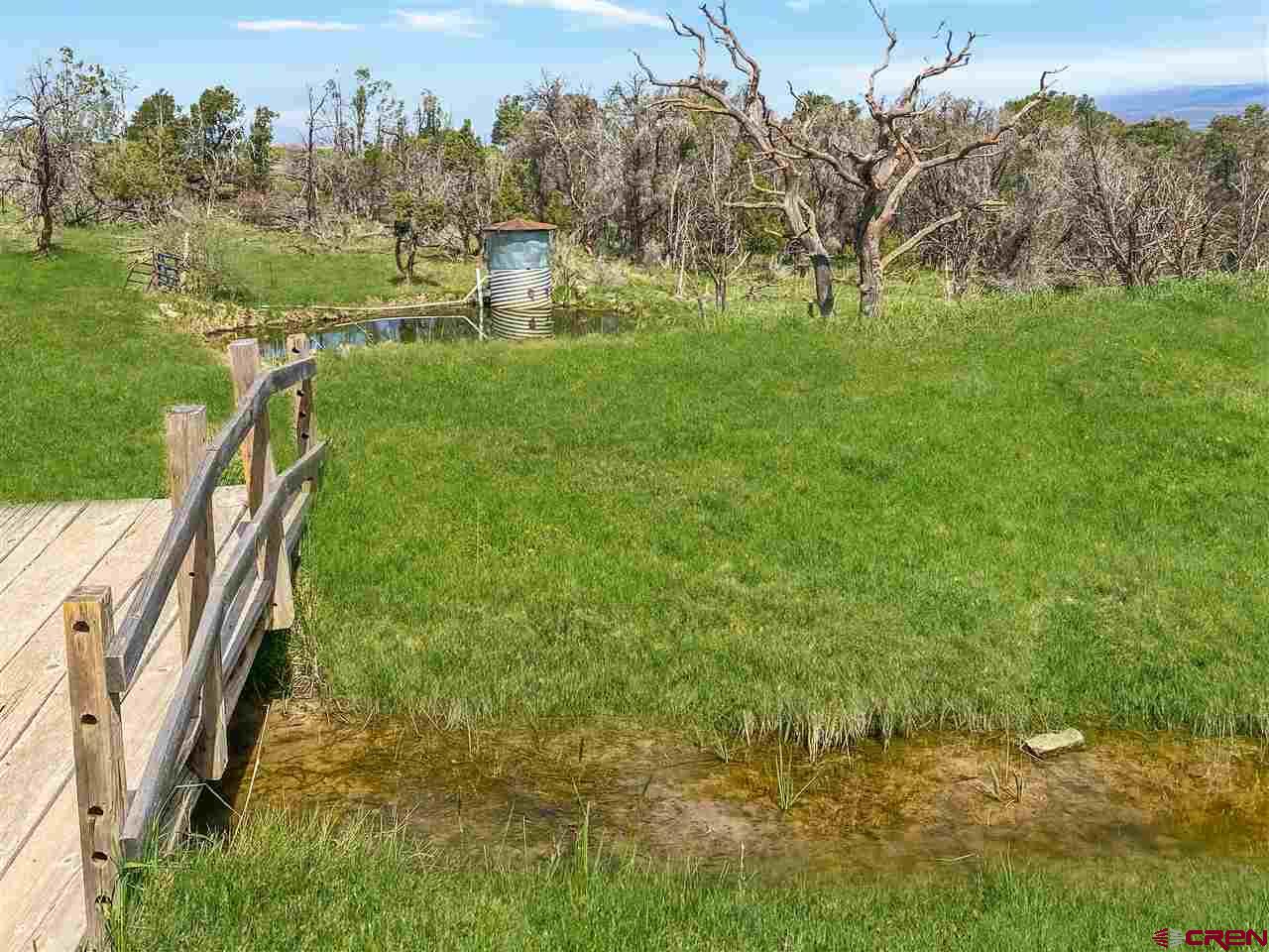 34354 3575th Road Redvale, CO 81431 - Photo 26 of 30 a view of an outdoor space and a yard