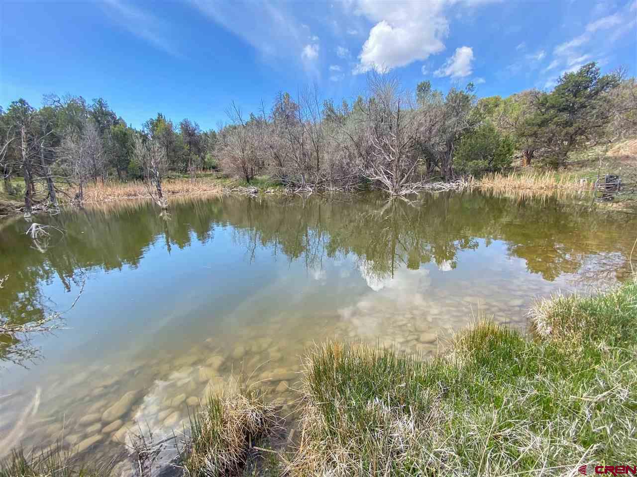 34354 3575th Road Redvale, CO 81431 - Photo 27 of 30 a view of a lake with a yard and mountain view