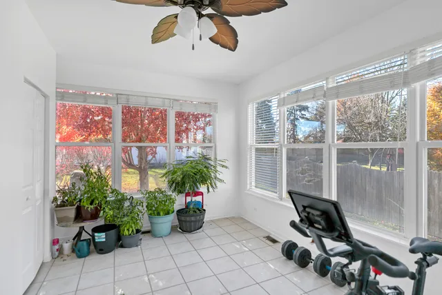 a room with furniture and a potted plant