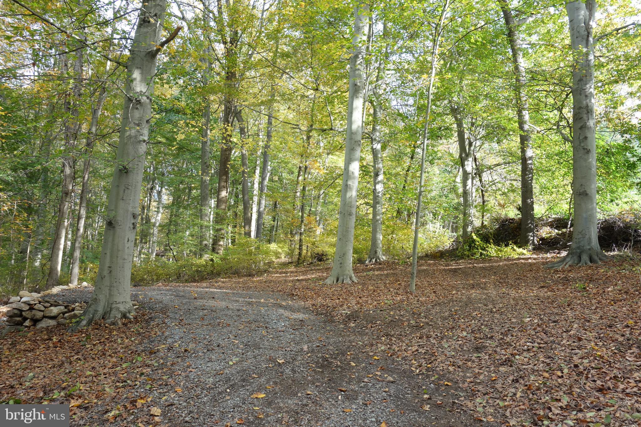 117 Mercer Mill Road Landenberg, PA 19350 - Photo 1 of 21