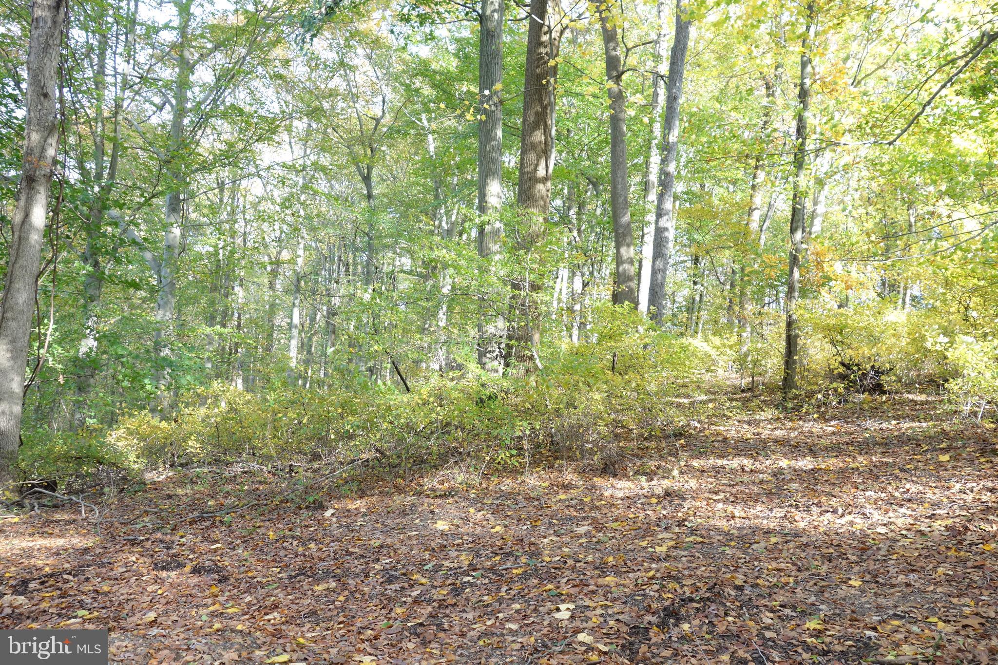 117 Mercer Mill Road Landenberg, PA 19350 - Photo 11 of 21