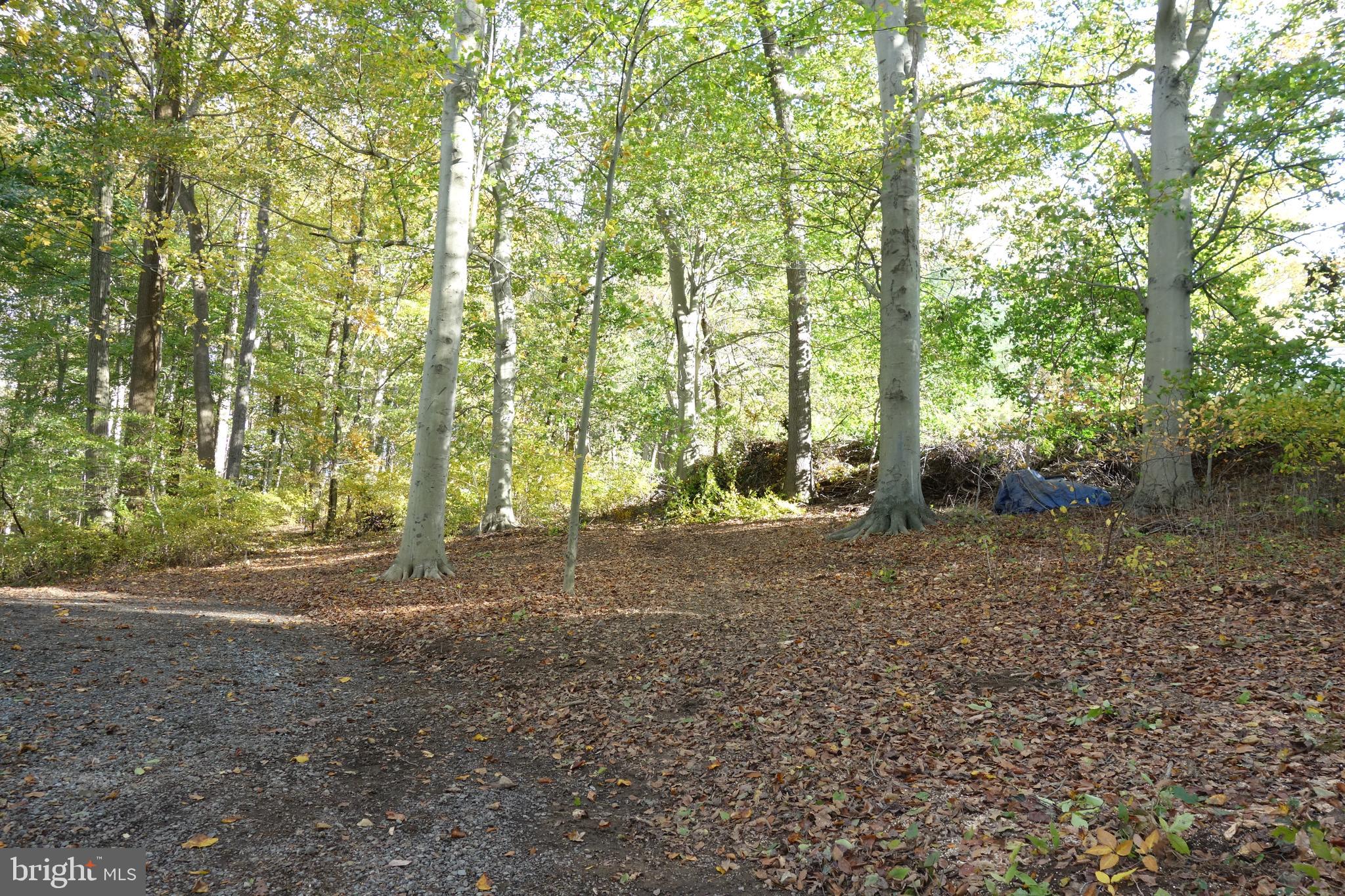 117 Mercer Mill Road Landenberg, PA 19350 - Photo 16 of 21