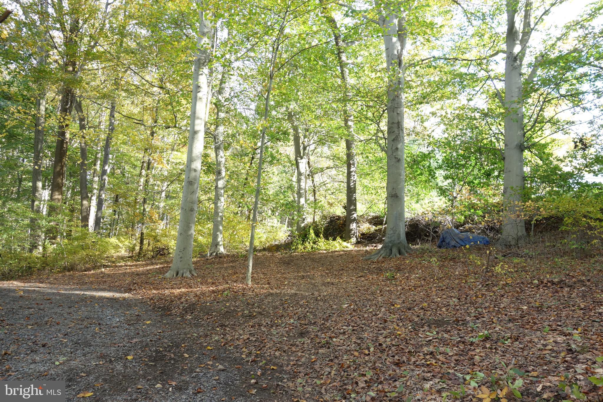 117 Mercer Mill Road Landenberg, PA 19350 - Photo 17 of 21