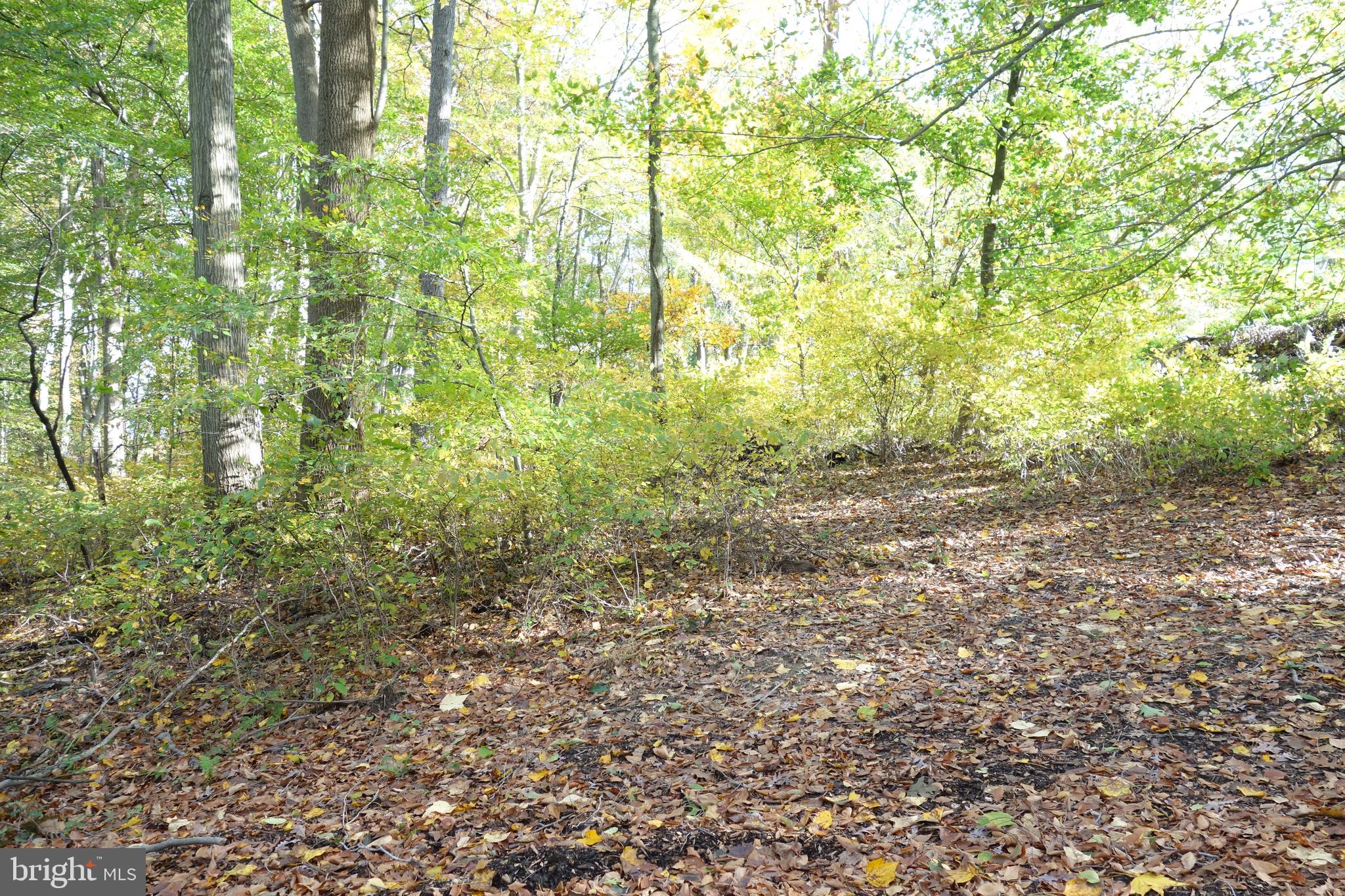 117 Mercer Mill Road Landenberg, PA 19350 - Photo 8 of 21