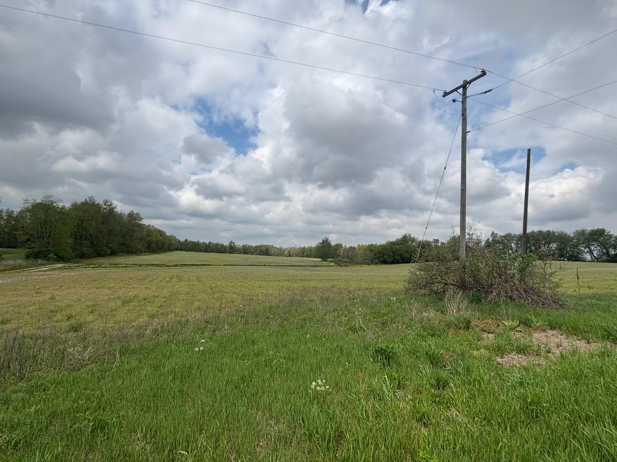 Tbd Neff Road Edmore, MI 48829 - Photo 1 of 12