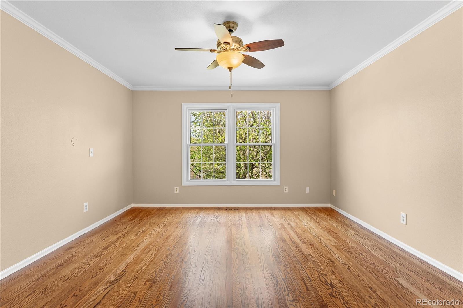 8926 Greenspointe Lane Highlands Ranch, CO 80130 - Photo 22 of 47