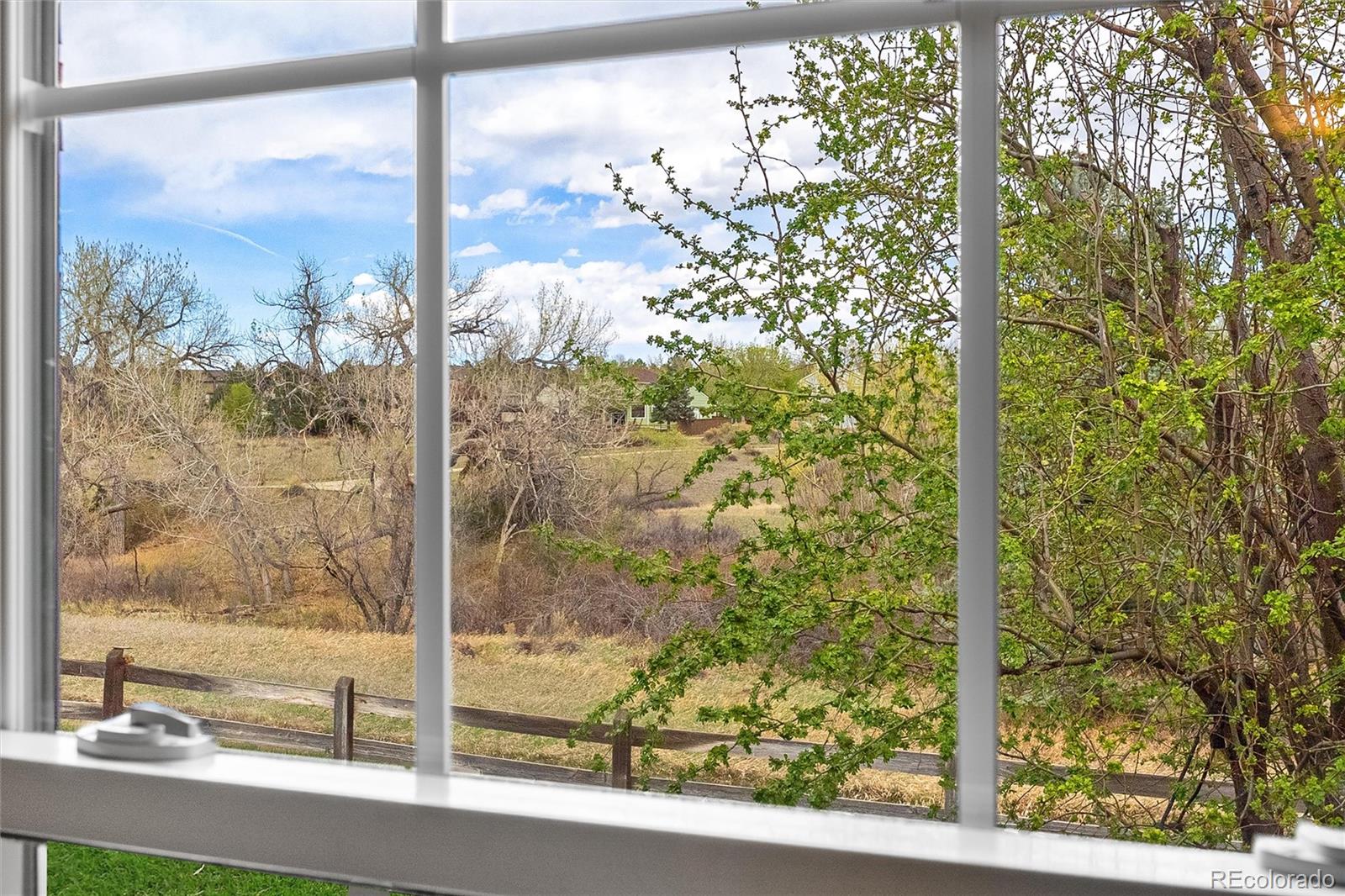 8926 Greenspointe Lane Highlands Ranch, CO 80130 - Photo 23 of 47