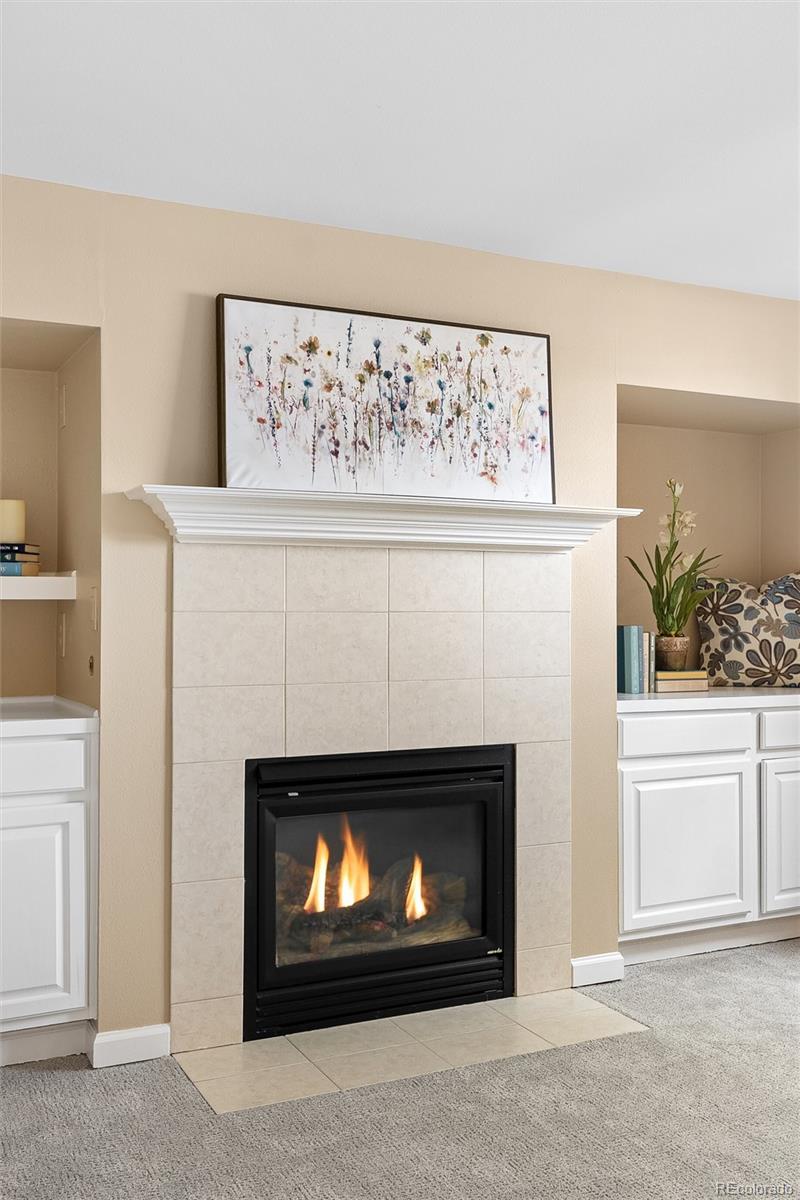 8926 Greenspointe Lane Highlands Ranch, CO 80130 - Photo 30 of 47