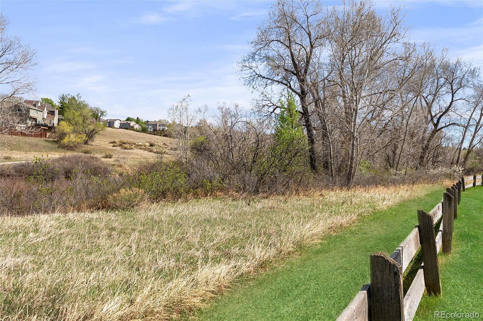 8926 Greenspointe Lane Highlands Ranch, CO 80130 - Photo 39 of 47