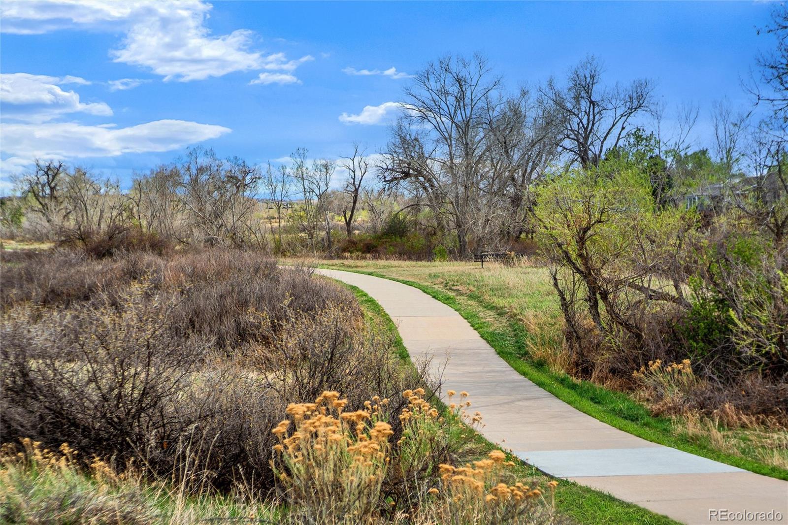 8926 Greenspointe Lane Highlands Ranch, CO 80130 - Photo 41 of 47