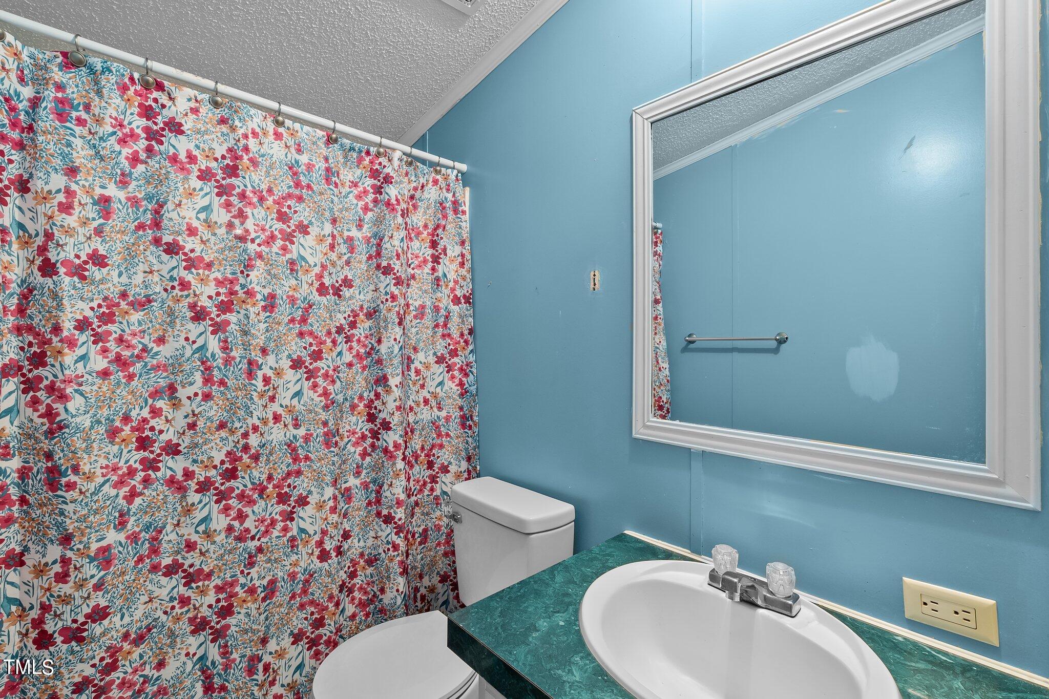 5612 Zacks Mill Road Angier, NC 27501 - Photo 23 of 42 a bathroom with a sink toilet and mirror