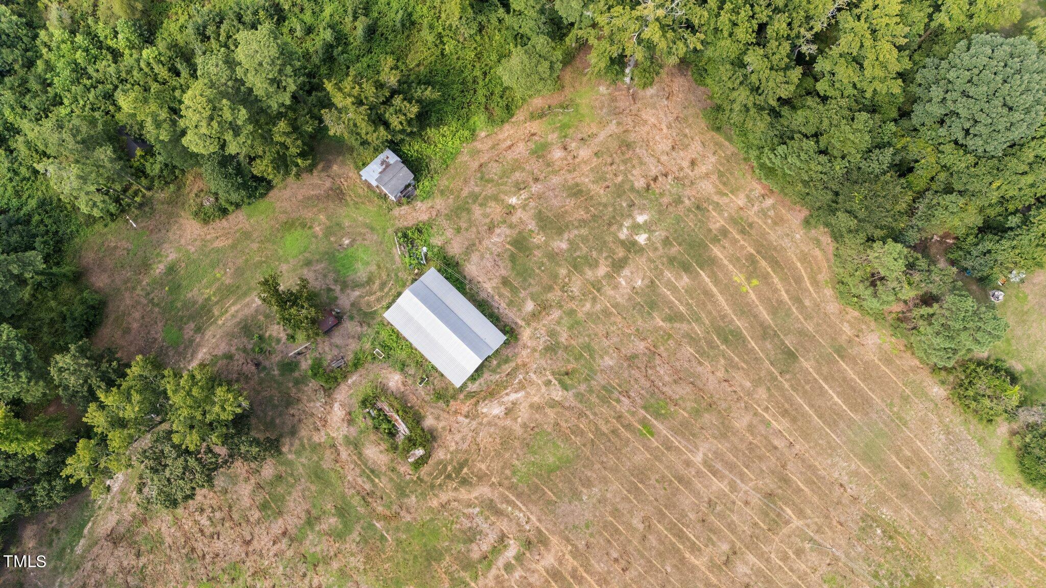 5612 Zacks Mill Road Angier, NC 27501 - Photo 37 of 42 a view of a tree in a yard