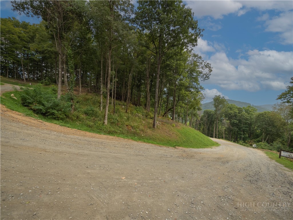 C120 Springwater Lane Banner Elk, NC 28604 - Photo 4 of 13