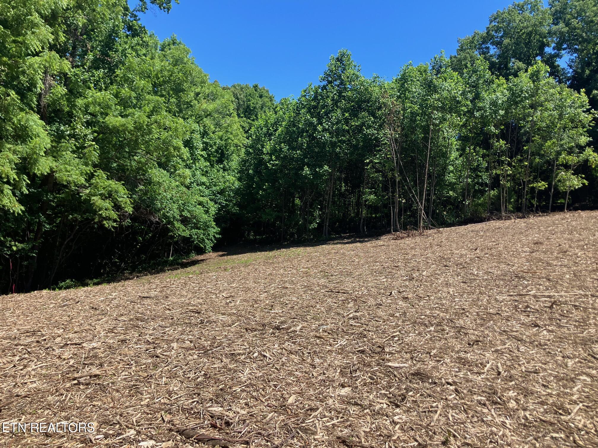 2 Graves Hollow Road Maynardville, TN 37807 - Photo 6 of 7 IMG_6134