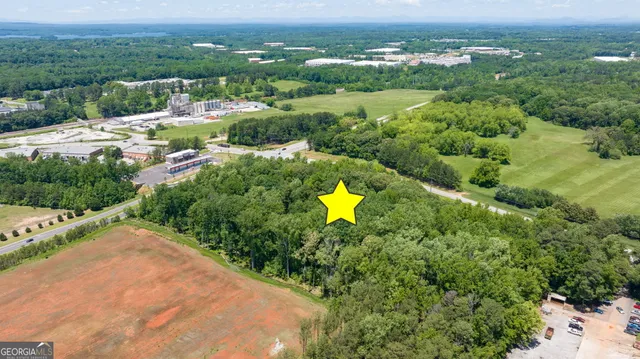 an aerial view of a garden