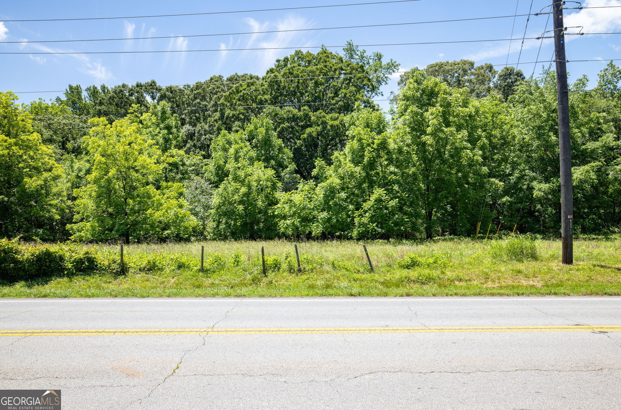 4611 Thurmon Tanner Road Flowery Branch, GA 30542 - Photo 17 of 23 a view of a garden