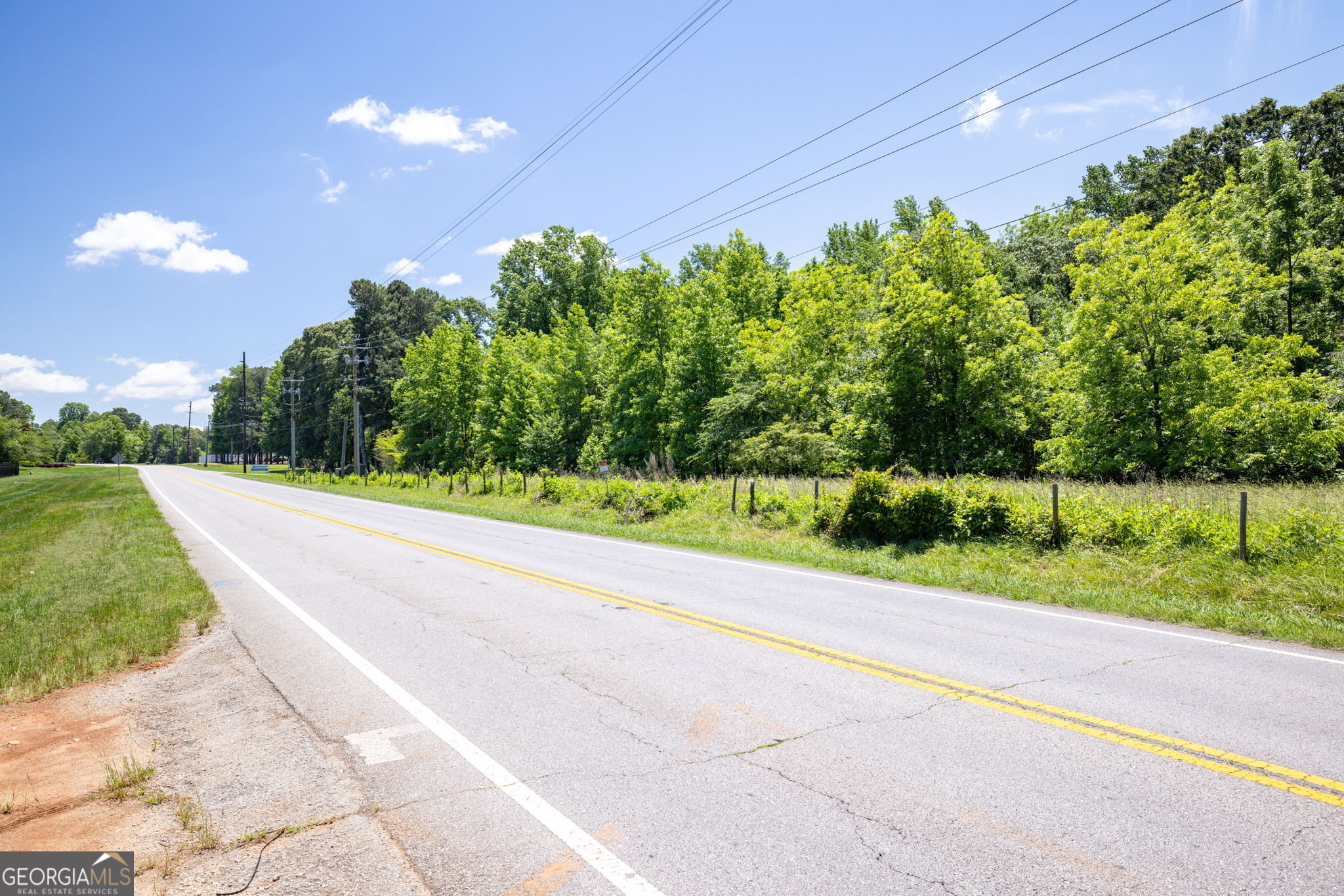 4611 Thurmon Tanner Road Flowery Branch, GA 30542 - Photo 18 of 23 a view of a garden