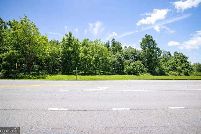 a view of a yard and entertaining space