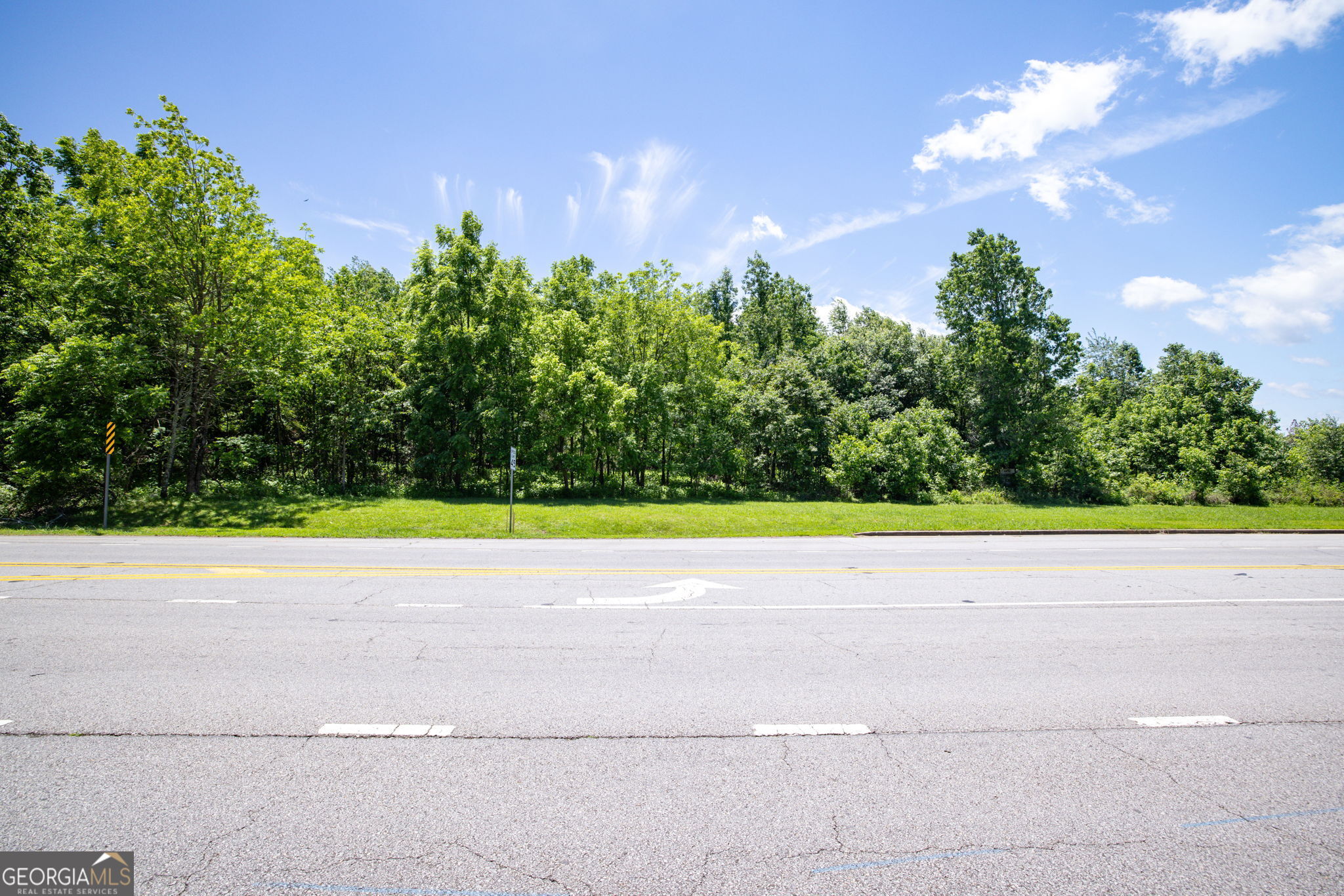 4611 Thurmon Tanner Road Flowery Branch, GA 30542 - Photo 20 of 23 a view of yard with trampoline