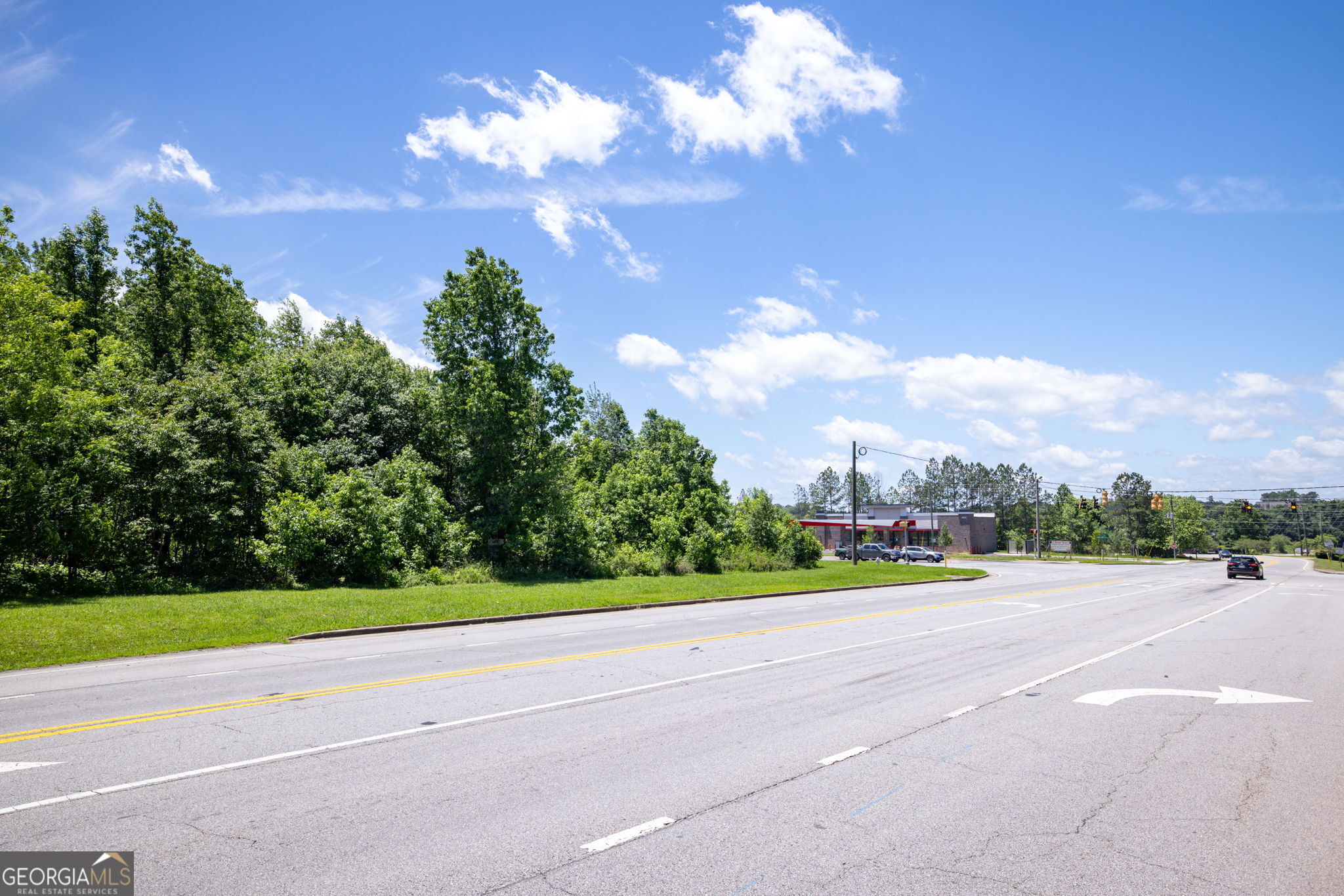 4611 Thurmon Tanner Road Flowery Branch, GA 30542 - Photo 21 of 23 a view of a yard and entertaining space