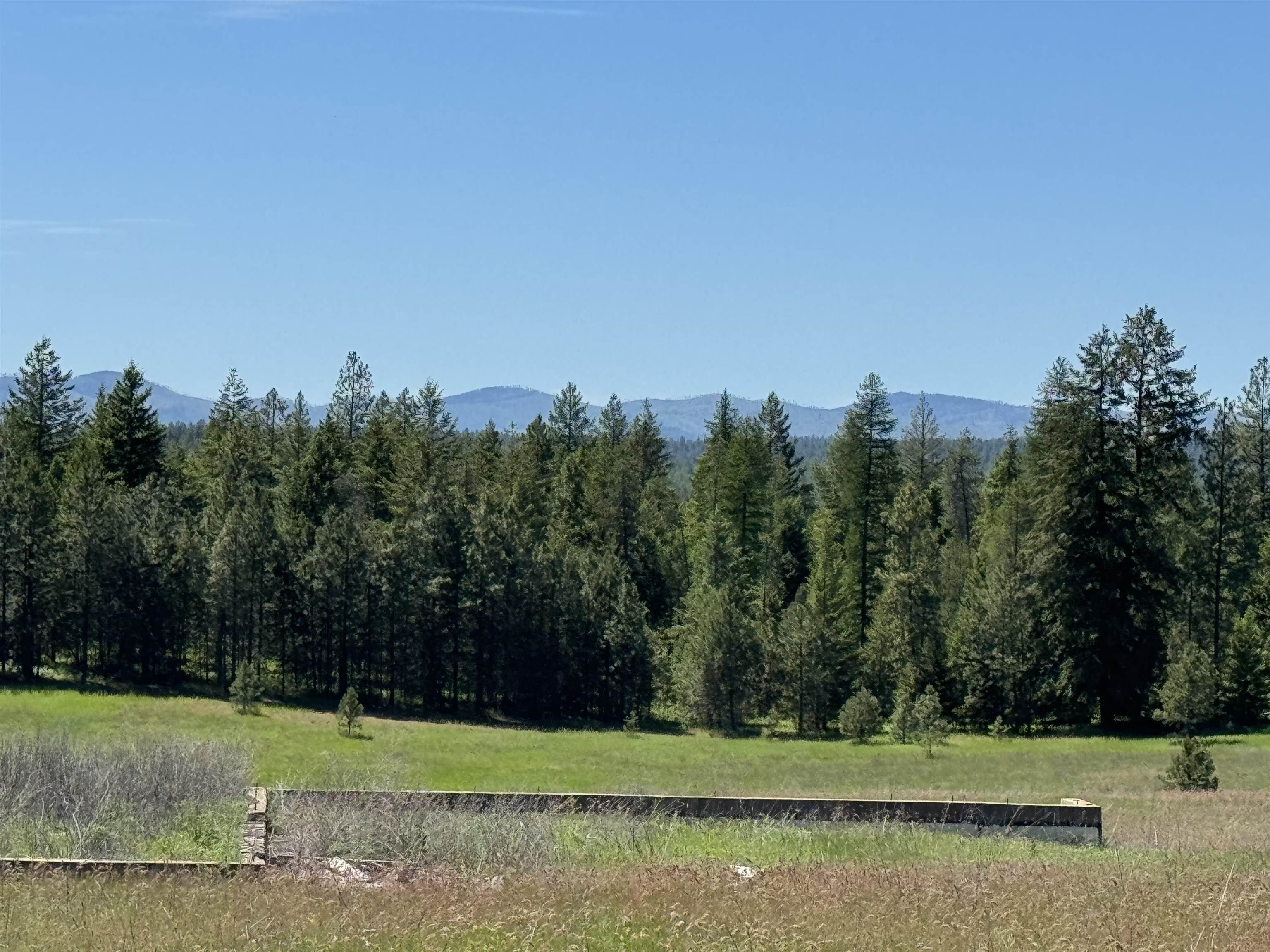 4091 Jepsen Road Springdale, WA 99173 - Photo 3 of 7