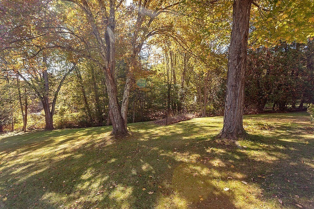 74 Summer Hill Road Maynard, MA 01754 - Photo 22 of 27 a view of yard