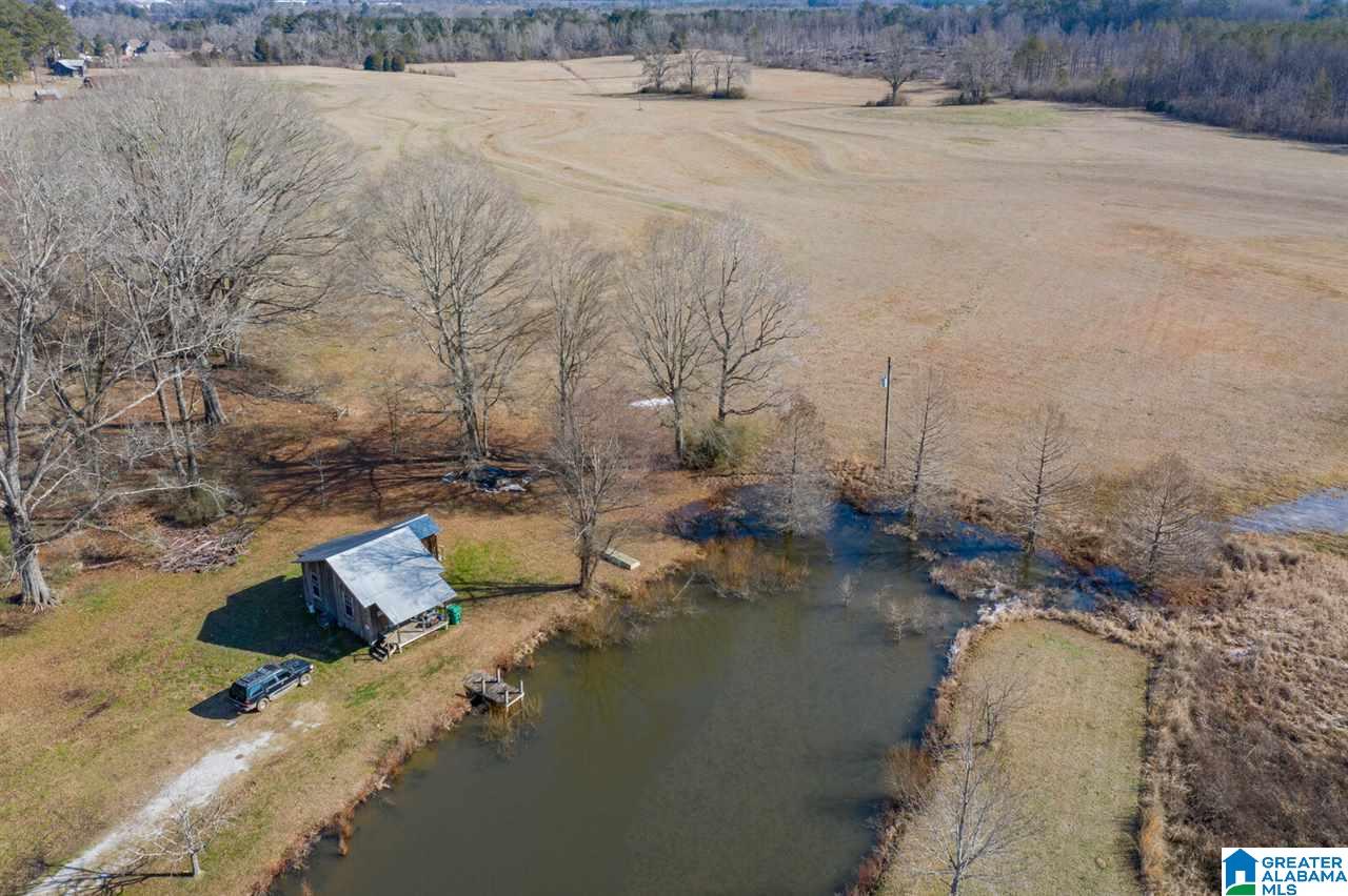 11218 Vance Blocton Road Vance, AL 35490 - Photo 4 of 37