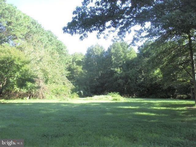 8171 Cannon Road Bridgeville, DE 19933 - Photo 16 of 21 Gallery Image 16