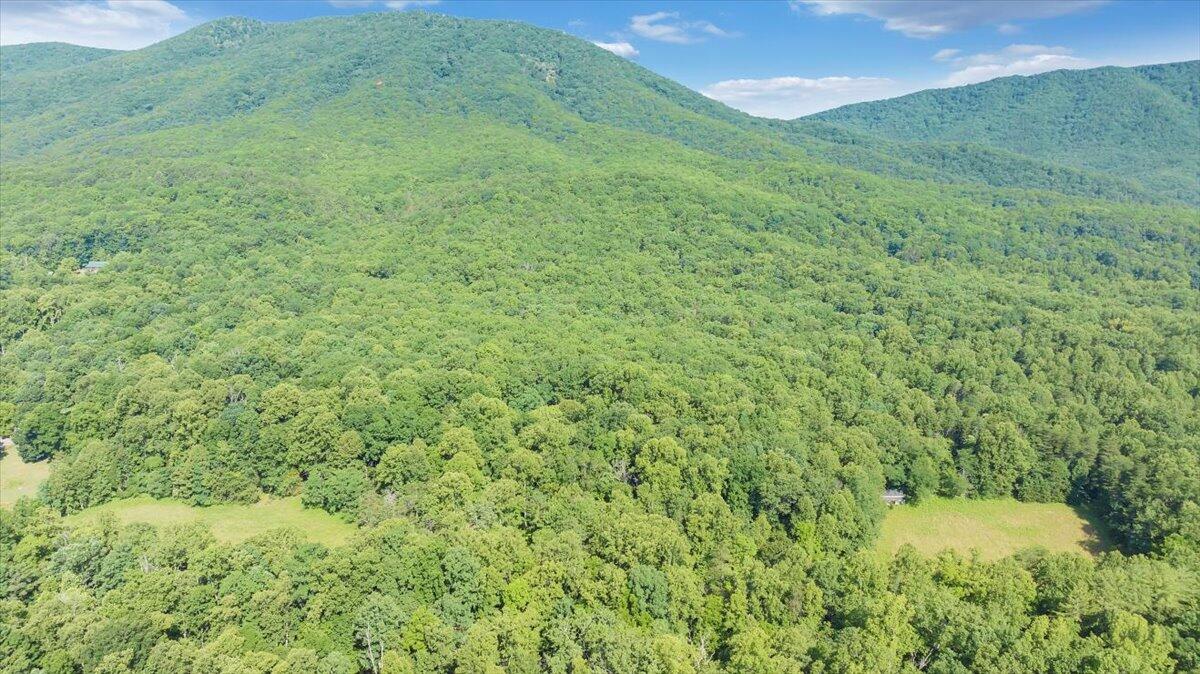 2821 Lees Gap Road Fincastle, VA 24090 - Photo 41 of 61 41-DJI_20240626094835_0034_D_MIB