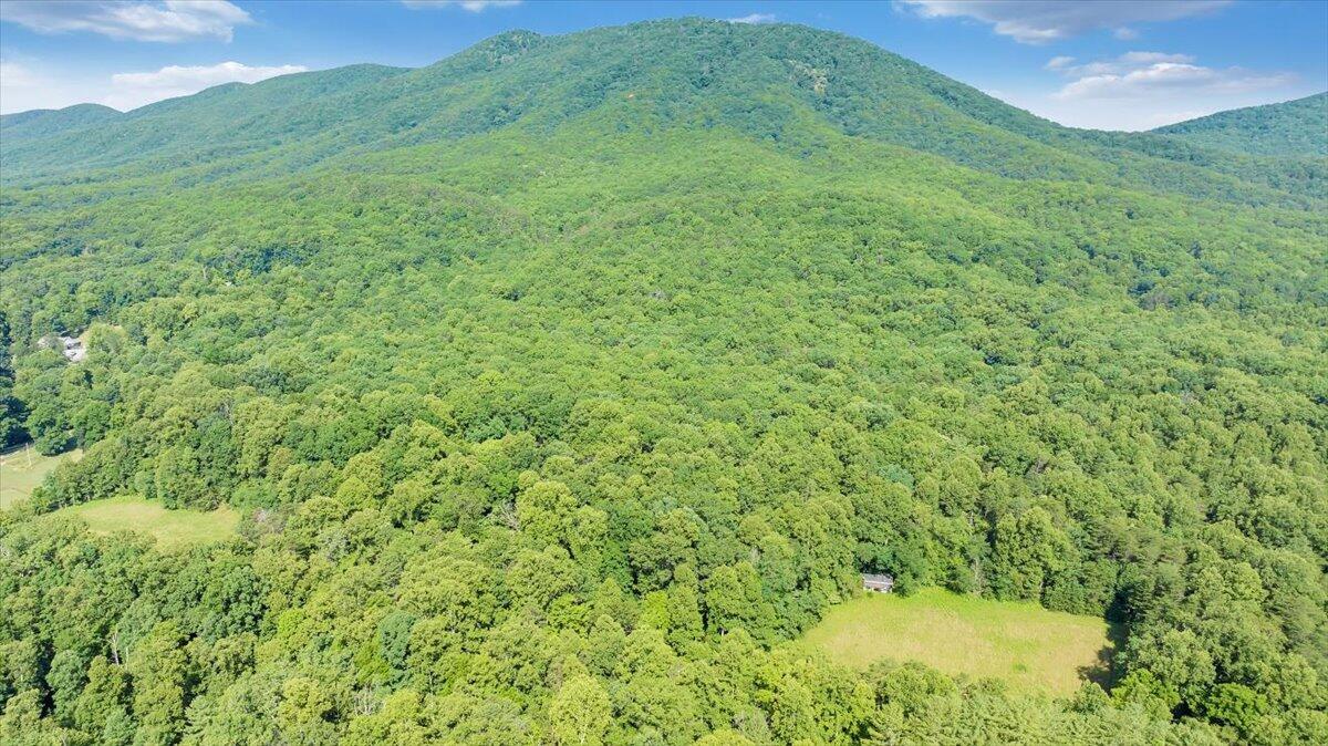 2821 Lees Gap Road Fincastle, VA 24090 - Photo 42 of 61 42-DJI_20240626094854_0035_D_MIB