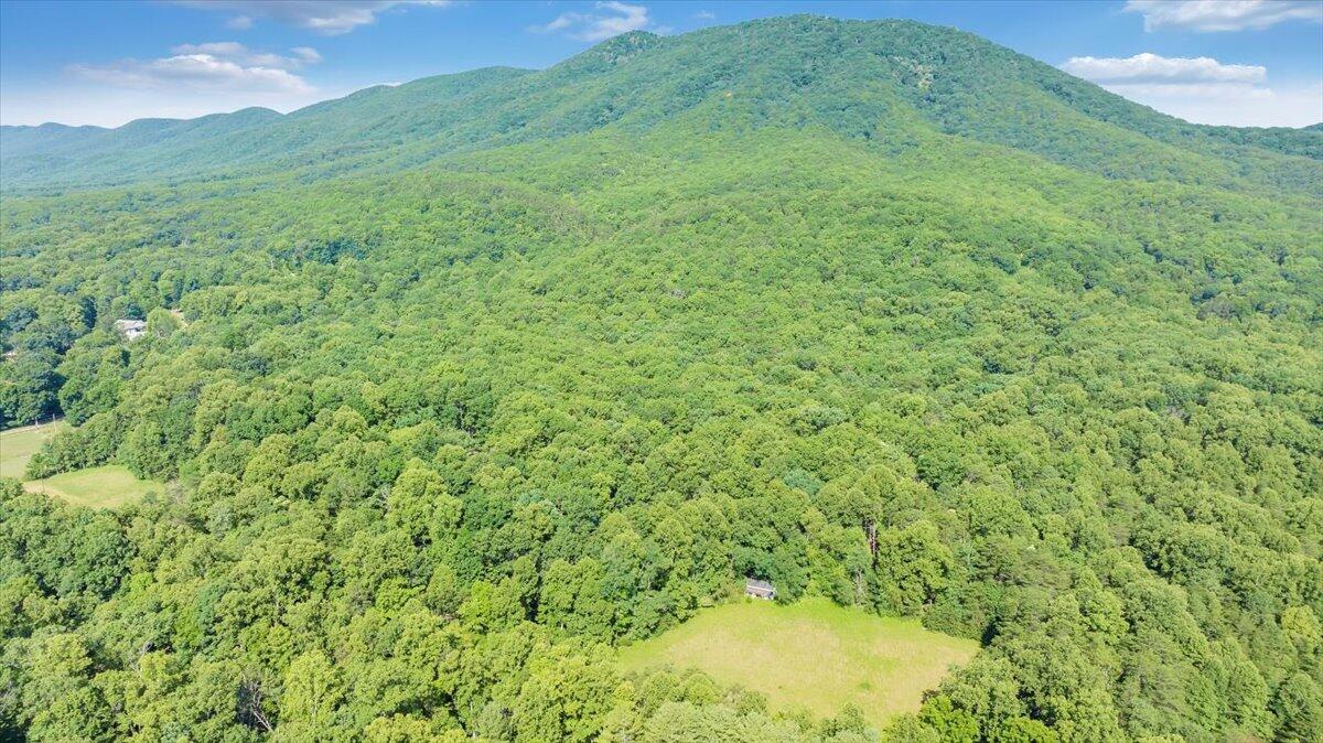 2821 Lees Gap Road Fincastle, VA 24090 - Photo 43 of 61 43-DJI_20240626094905_0036_D_MIB