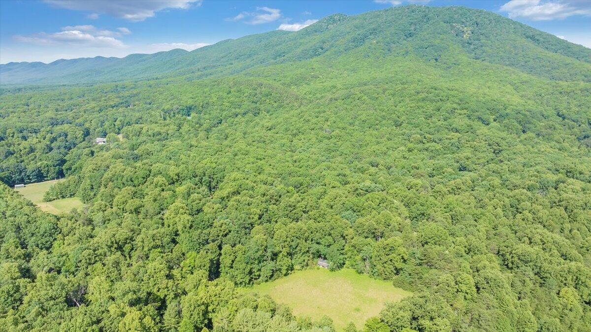 2821 Lees Gap Road Fincastle, VA 24090 - Photo 44 of 61 44-DJI_20240626094915_0037_D_MIB