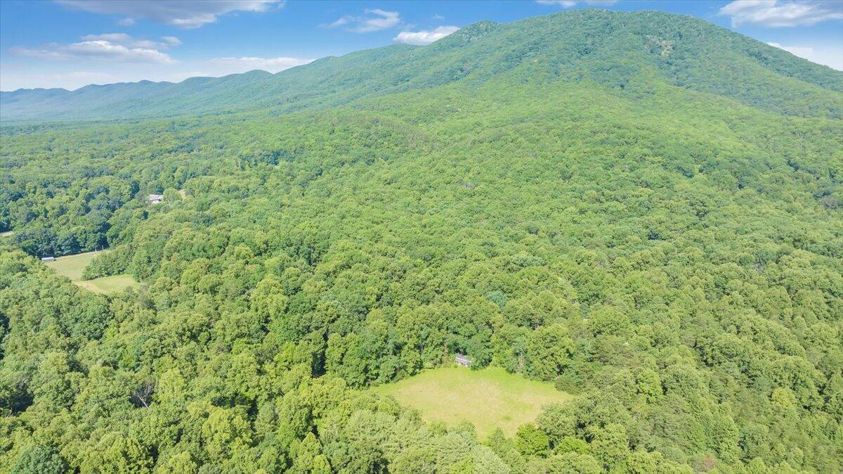 2821 Lees Gap Road Fincastle, VA 24090 - Photo 45 of 61 45-DJI_20240626094924_0038_D_MIB