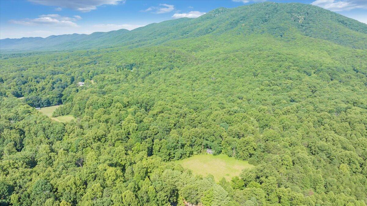 2821 Lees Gap Road Fincastle, VA 24090 - Photo 46 of 61 46-DJI_20240626094944_0039_D_MIB