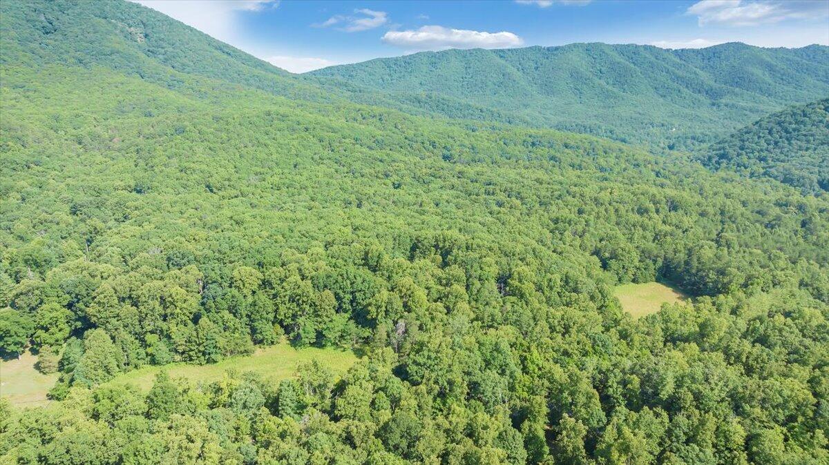 2821 Lees Gap Road Fincastle, VA 24090 - Photo 47 of 61 47-DJI_20240626095039_0040_D_MIB
