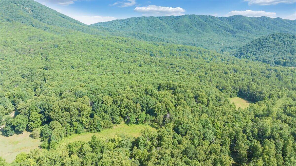 2821 Lees Gap Road Fincastle, VA 24090 - Photo 48 of 61 48-DJI_20240626095047_0041_D_MIB
