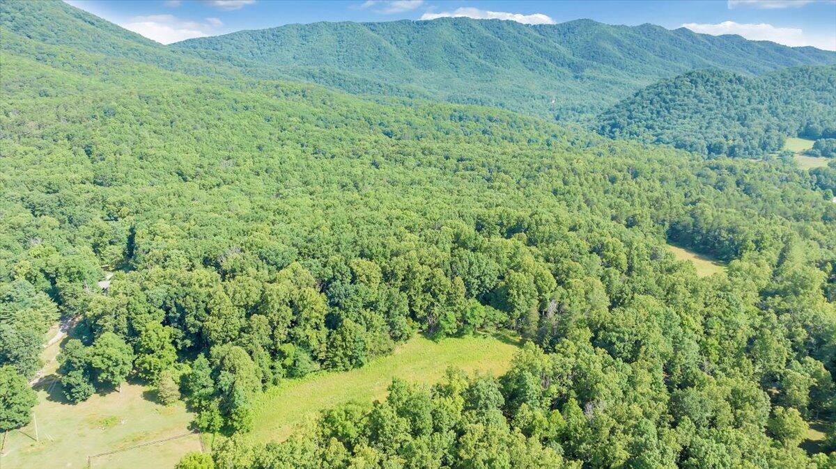 2821 Lees Gap Road Fincastle, VA 24090 - Photo 49 of 61 49-DJI_20240626095058_0042_D_MIB
