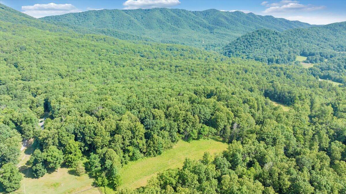 2821 Lees Gap Road Fincastle, VA 24090 - Photo 50 of 61 50-DJI_20240626095113_0043_D_MIB