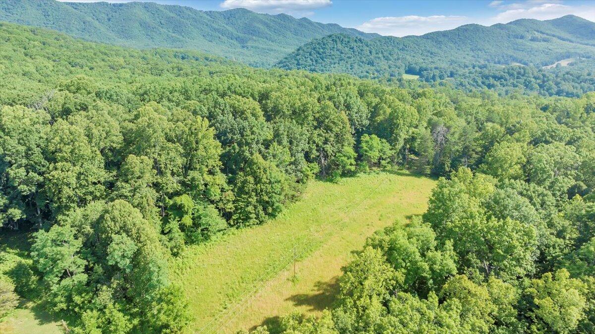 2821 Lees Gap Road Fincastle, VA 24090 - Photo 51 of 61 51-DJI_20240626095142_0044_D_MIB