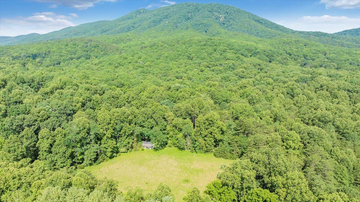 2821 Lees Gap Road Fincastle, VA 24090 - Photo 52 of 61 52-DJI_20240626095228_0045_D_MIB