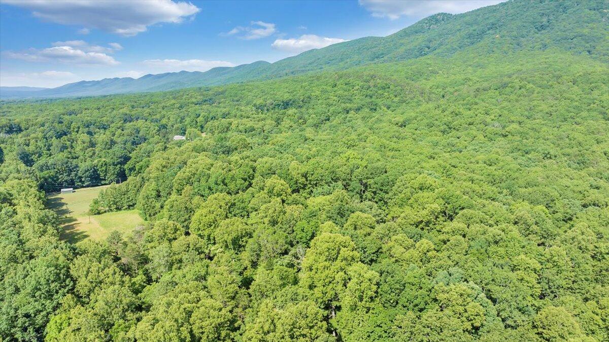 2821 Lees Gap Road Fincastle, VA 24090 - Photo 53 of 61 53-DJI_20240626095241_0046_D_MIB