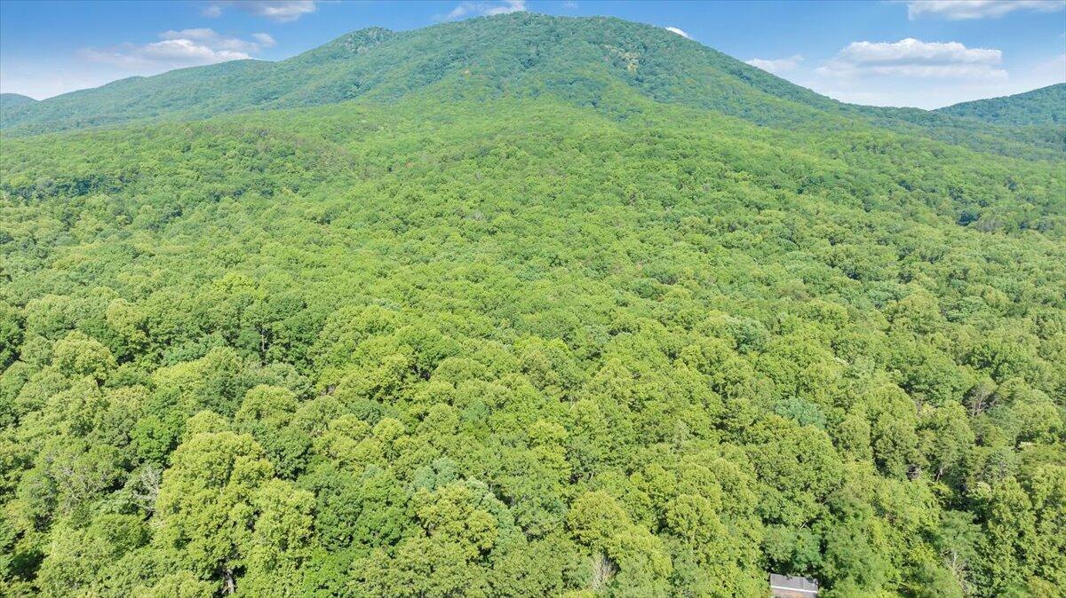 2821 Lees Gap Road Fincastle, VA 24090 - Photo 54 of 61 54-DJI_20240626095244_0047_D_MIB