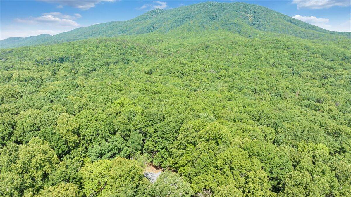 2821 Lees Gap Road Fincastle, VA 24090 - Photo 56 of 61 56-DJI_20240626095309_0049_D_MIB