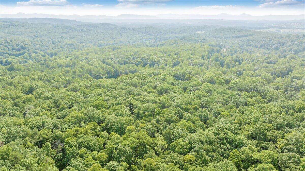2821 Lees Gap Road Fincastle, VA 24090 - Photo 57 of 61 57-DJI_20240626095423_0050_D_MIB