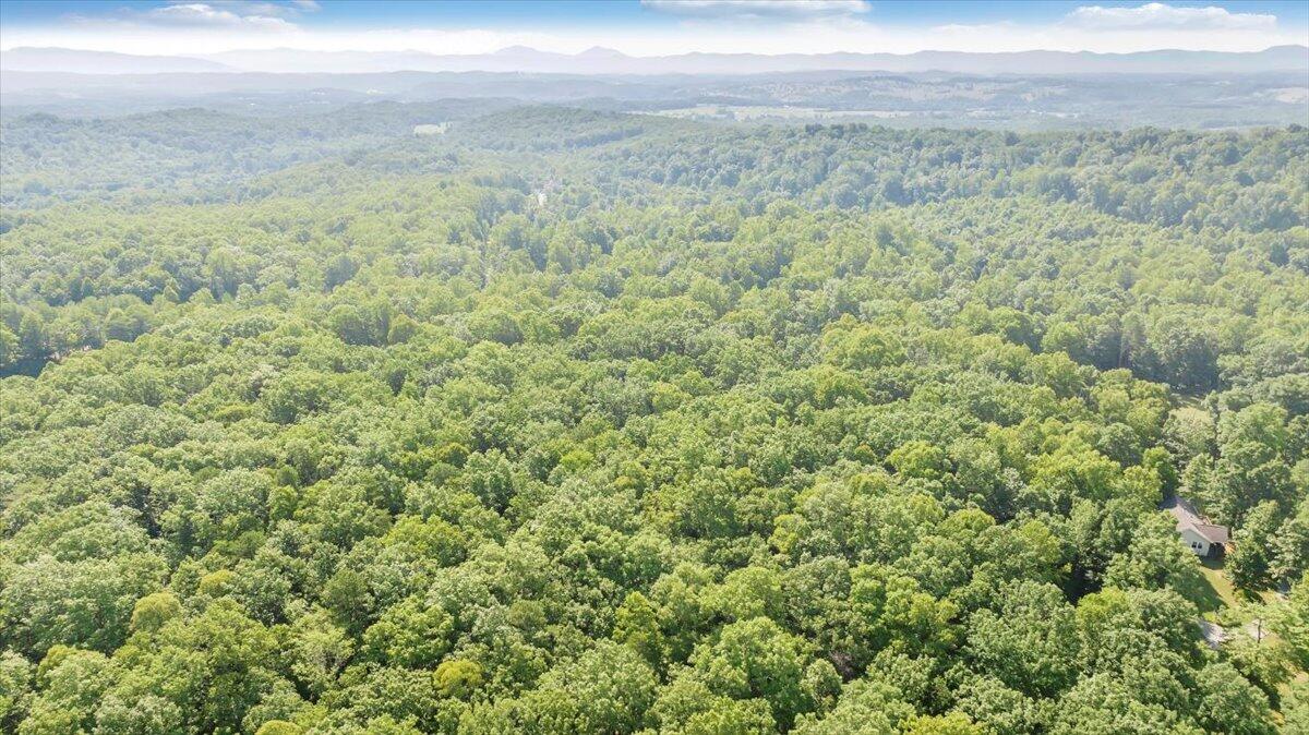 2821 Lees Gap Road Fincastle, VA 24090 - Photo 58 of 61 58-DJI_20240626095429_0051_D_MIB